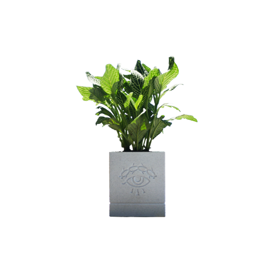 DBG FLEUR POT